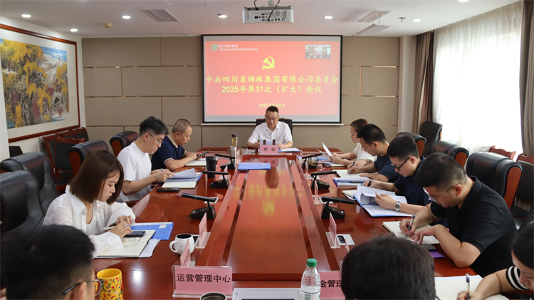 集團公司召開2025年第31次黨委（擴大）會議