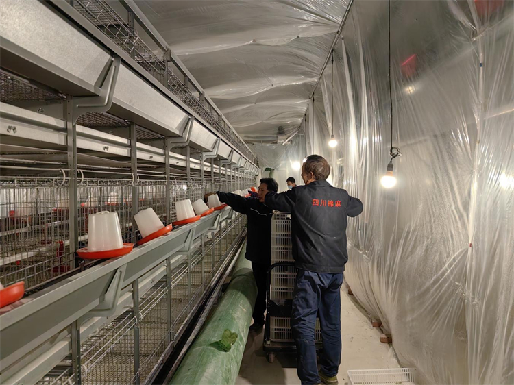 1772607097135716.jpg 圖片2.jpg